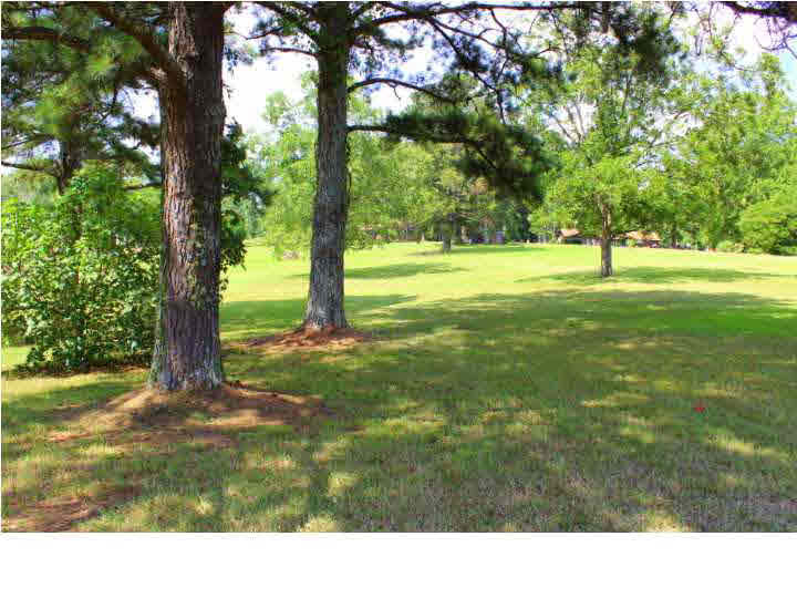 1074 West Parks Road Raymond, MS 39154 - Photo 36 of 37 Back View
