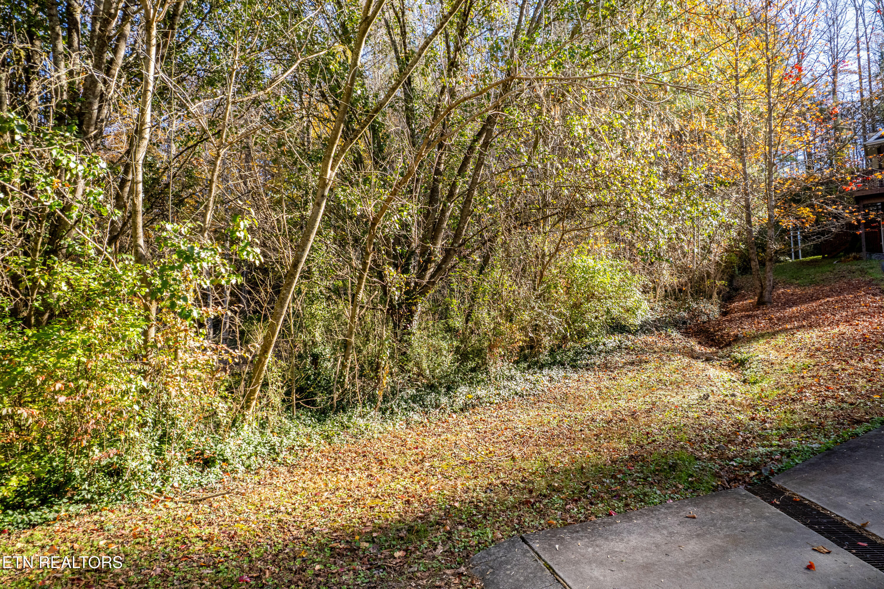 West Millers Cove Road Walland, TN 37886 - Photo 6 of 26 617WMillersCoveRd-3