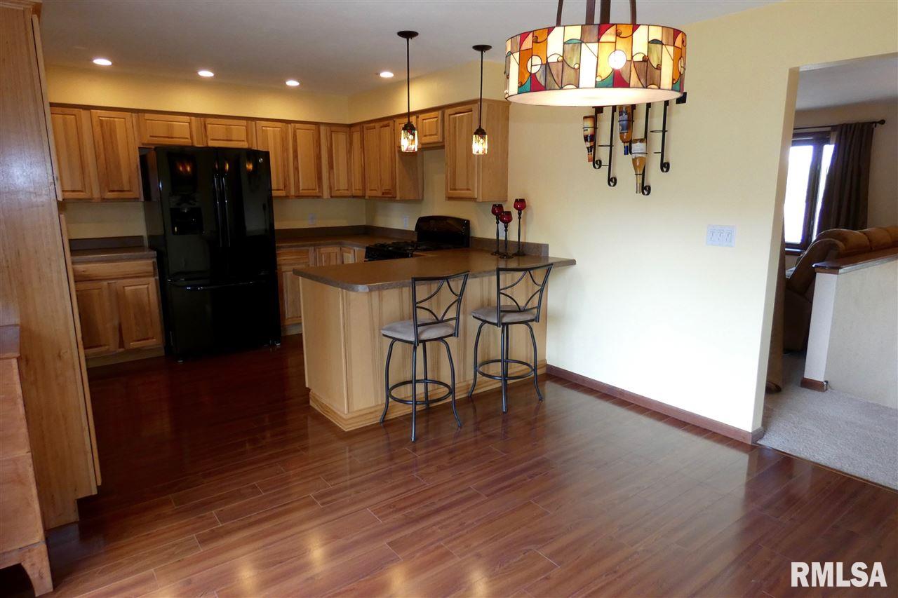 307 North Murphy Road Hanna City, IL 61536 - Photo 4 of 19 Gallery Image 4