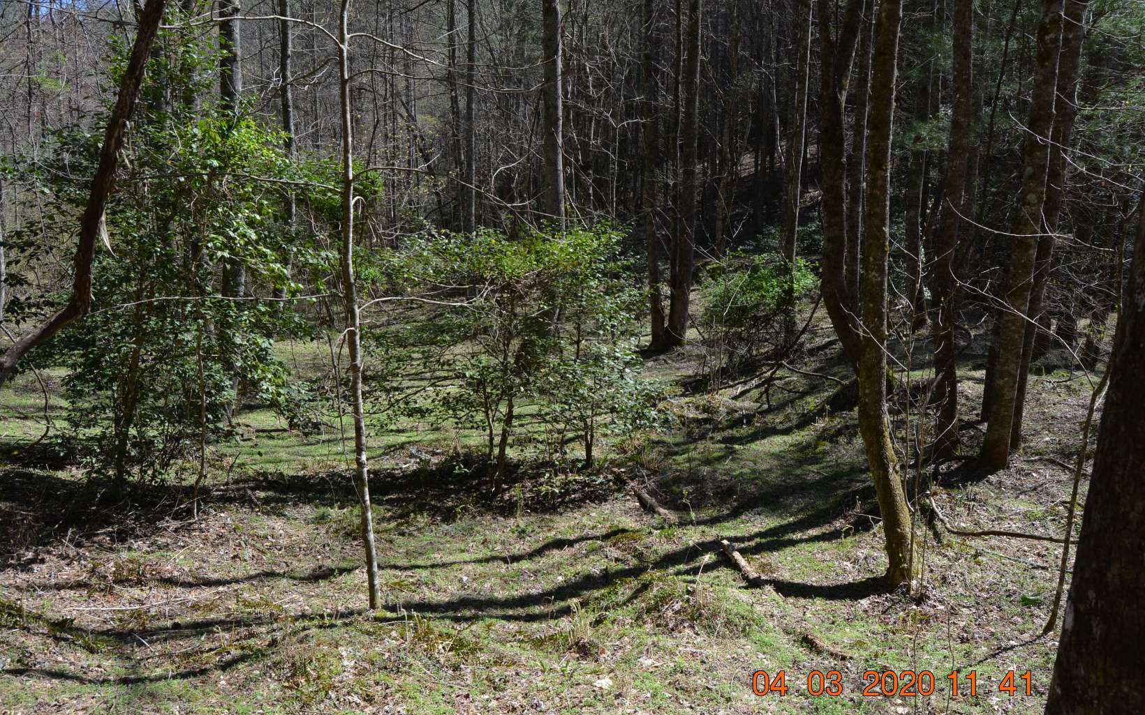 7 Sandy Gap Road Murphy, NC 28906 - Photo 3 of 4 Additional View