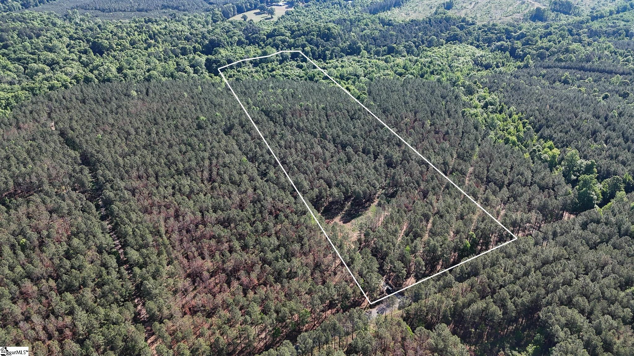 3 Lisbon Road, Unit LOT 3 Mountville, SC 29370 - Photo 3 of 22