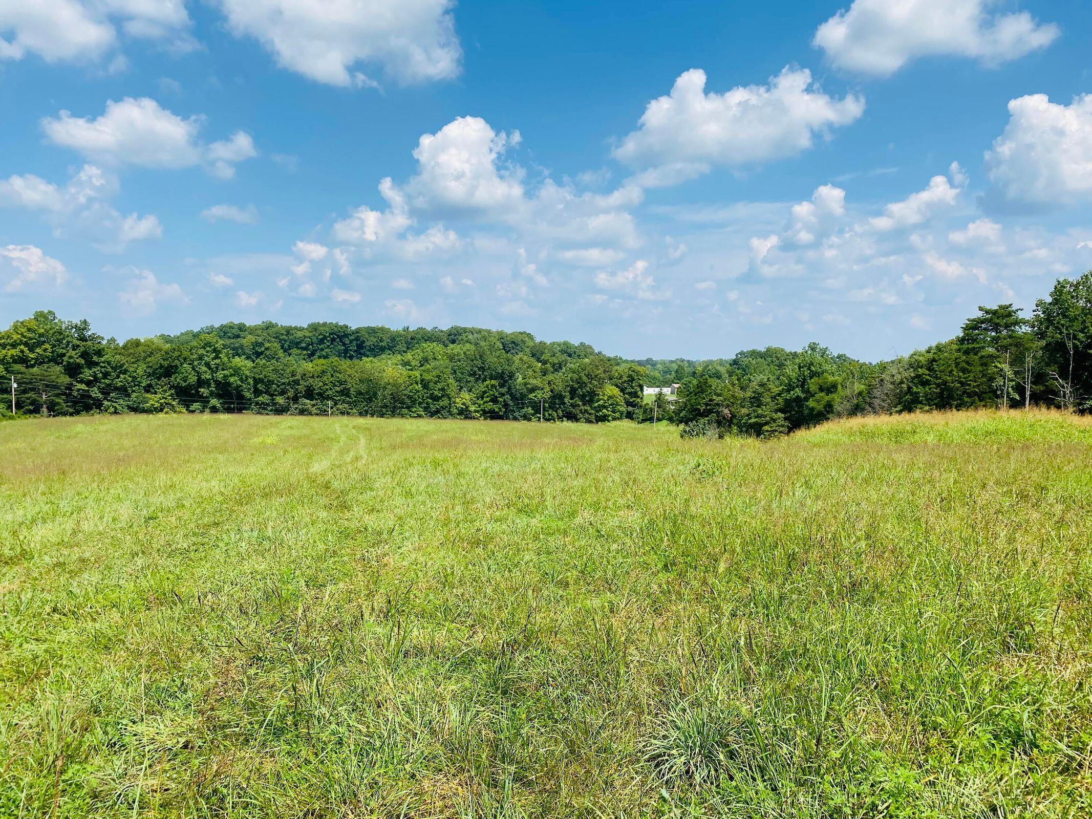 5 Beech Grove Road Nancy, KY 42544 - Photo 4 of 14 20210826022252476397000000-o