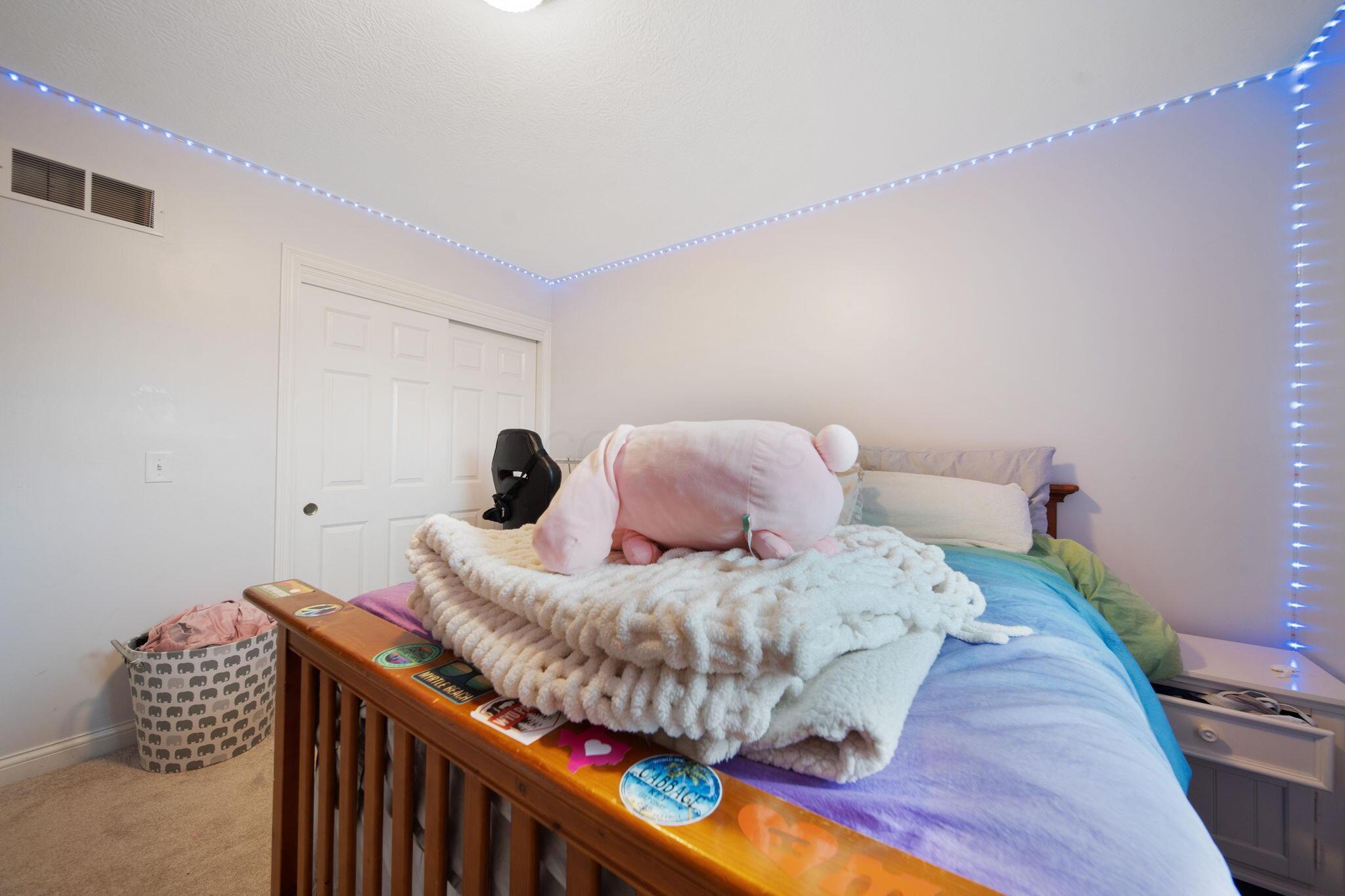 3929 Meadow Knoll Road Delaware, OH 43015 - Photo 46 of 84 47-web-or-mls-DSC07550