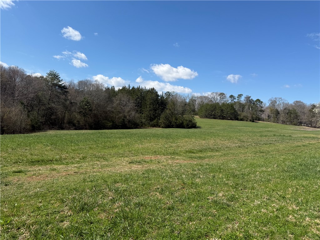 0 Holland Ford Road Pelzer, SC 29669 - Photo 5 of 35