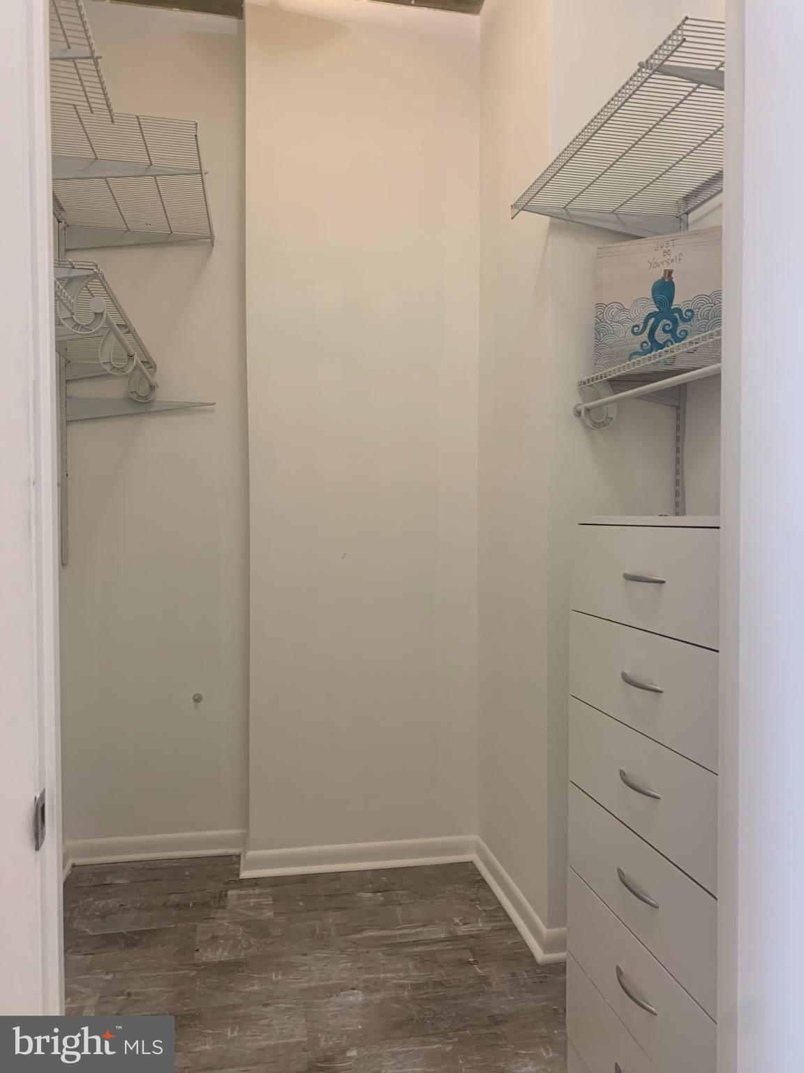 1300 N Street Northwest, Unit 508 Washington, DC 20005 - Photo 9 of 19 Walk-in closet