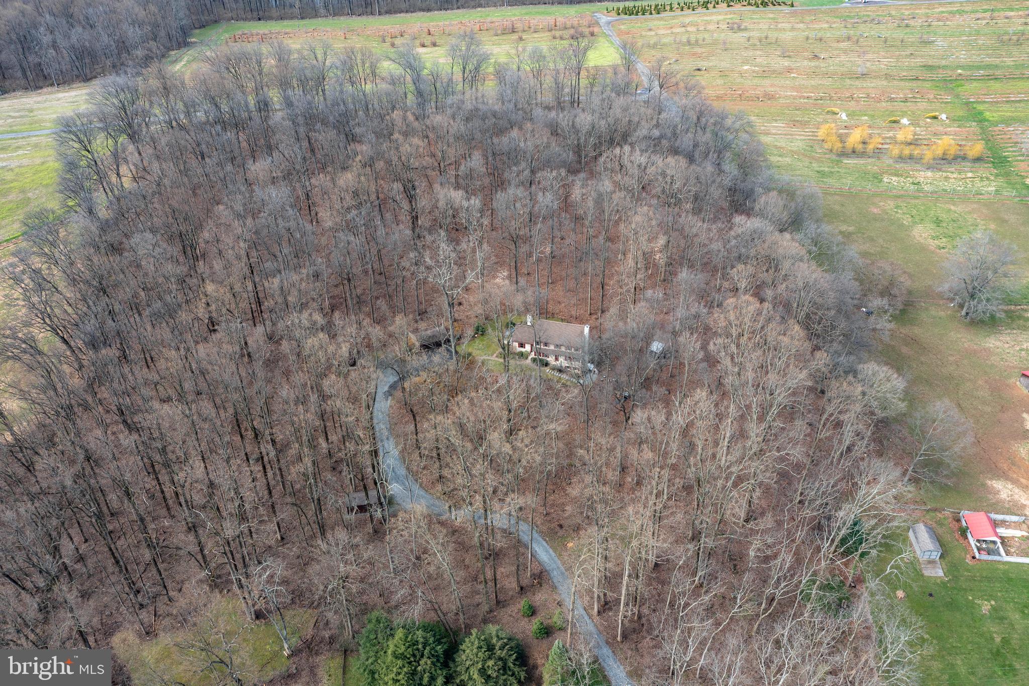 177 Bollinger Road Elverson, PA 19520 - Photo 54 of 55 Driveway Meanders thru nature