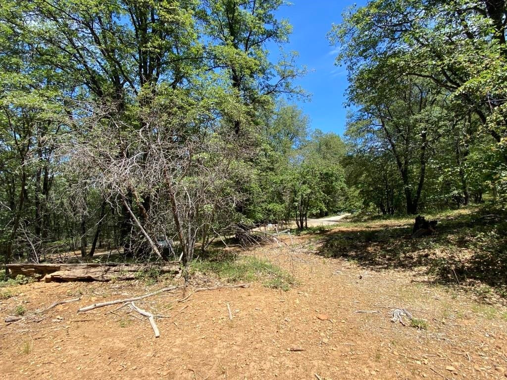 4-c-1 Columbine Road Weed, CA 96094 - Photo 18 of 21 Gallery Image 18