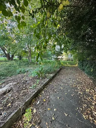 a view of forest