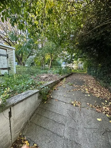 a view of a yard with plants and large trees