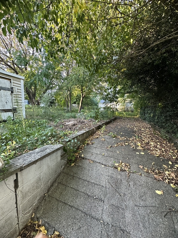 472 Buffinton Street Fall River, MA 02721 - Photo 8 of 16 a view of a yard with plants and large trees