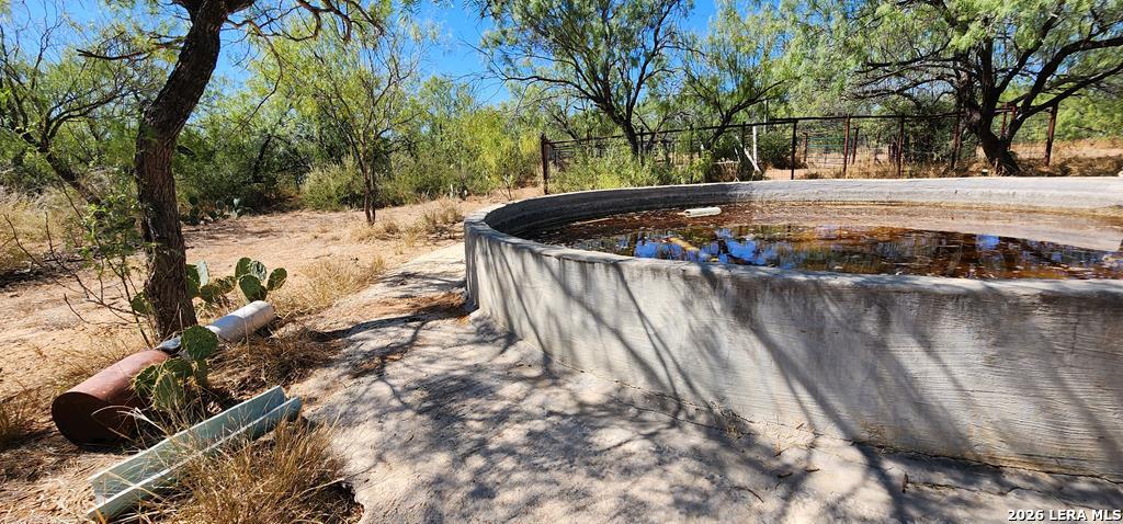 0 Loop 517 Carrizo Springs, TX 78834 - Photo 30 of 30
