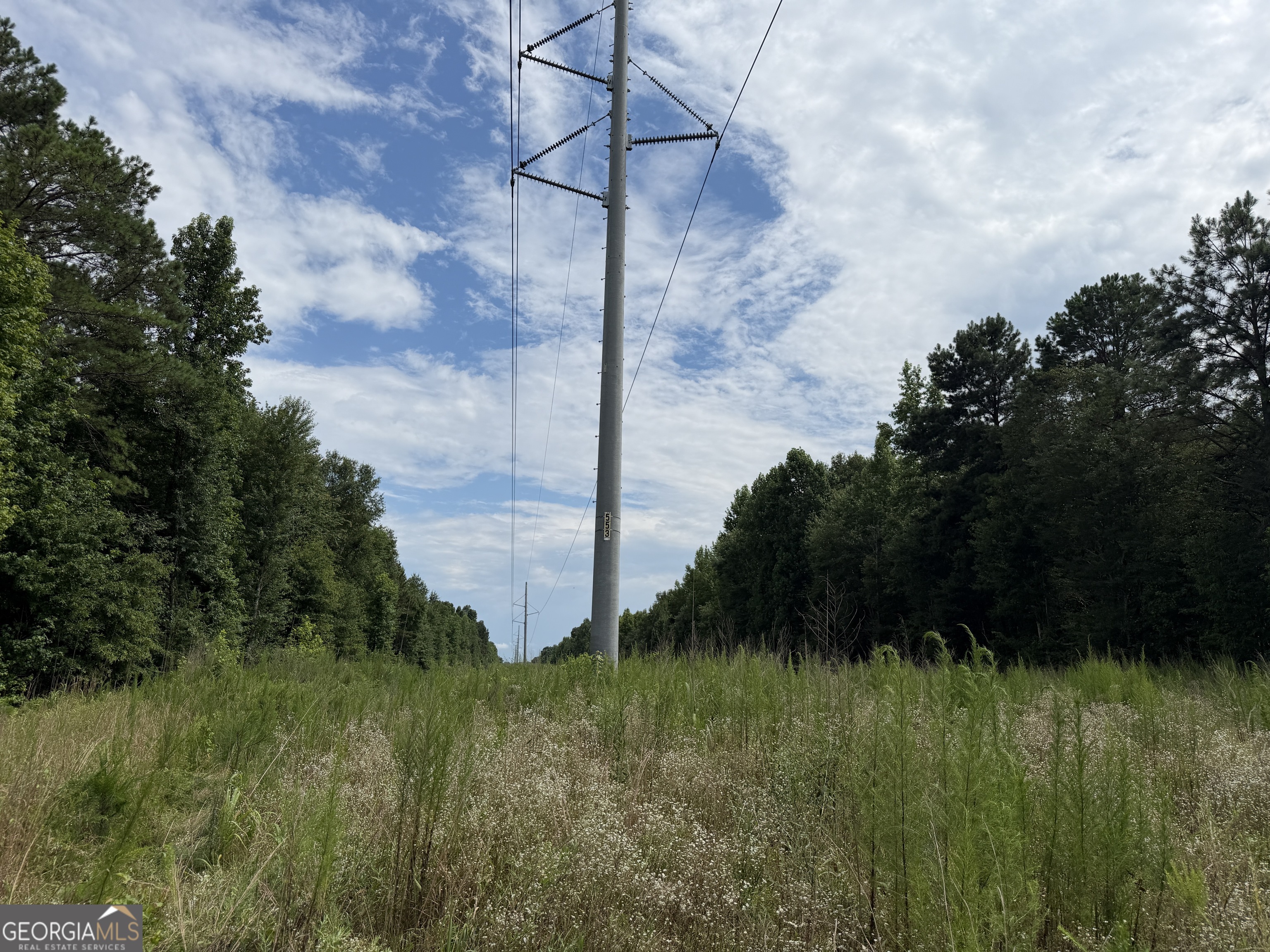 4 County Rd 445 Haleyville, AL 35565 - Photo 4 of 11