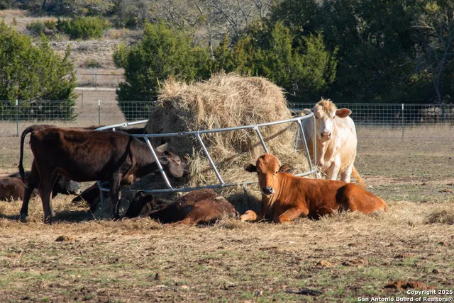 $5,199,999 | 13944 Farm To Market 32, Fischer, TX 78623