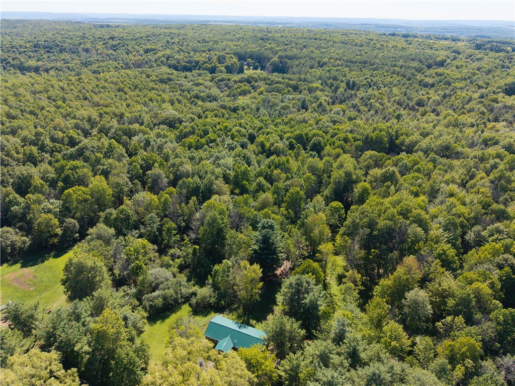 9539 Bronson Road Wayland, NY 14572 - Photo 26 of 33