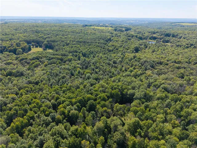 $199,000 | 9539 Bronson Road, Wayland, NY 14572