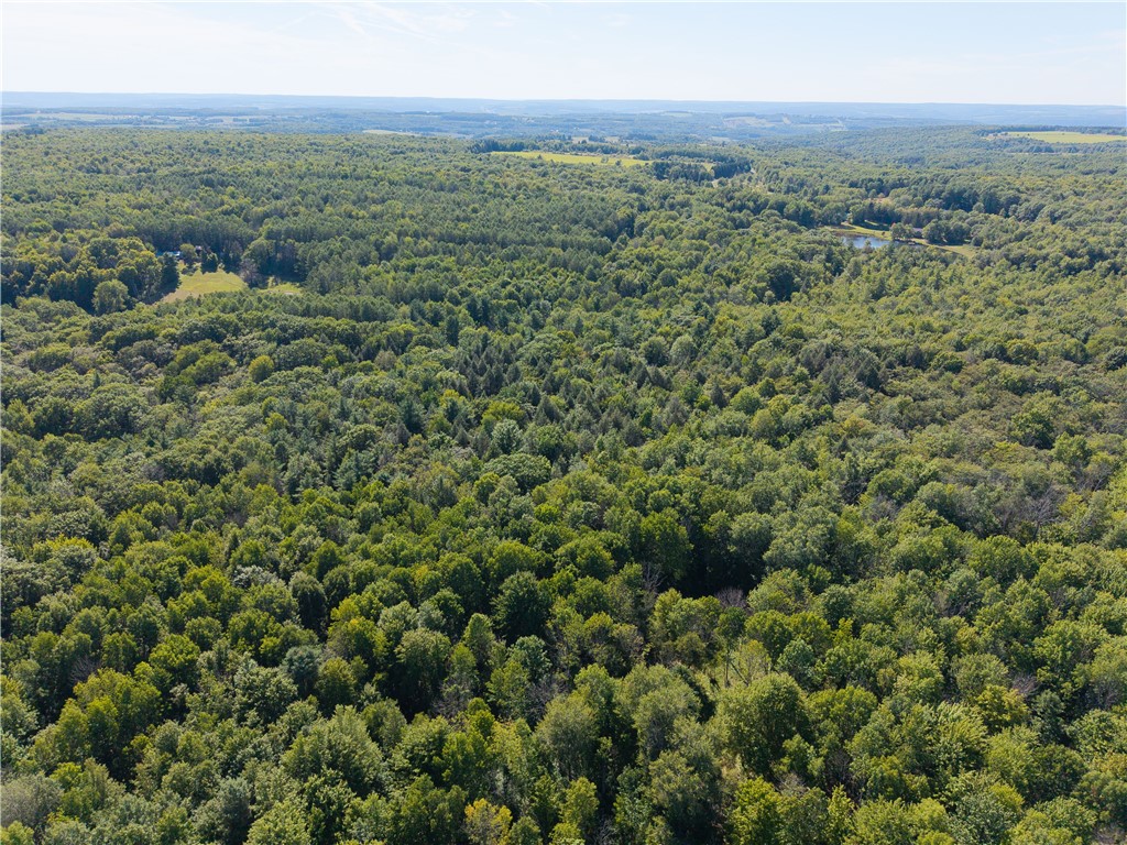 9539 Bronson Road Wayland, NY 14572 - Photo 28 of 33