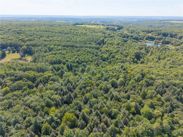 $199,000 | 9539 Bronson Road, Wayland, NY 14572