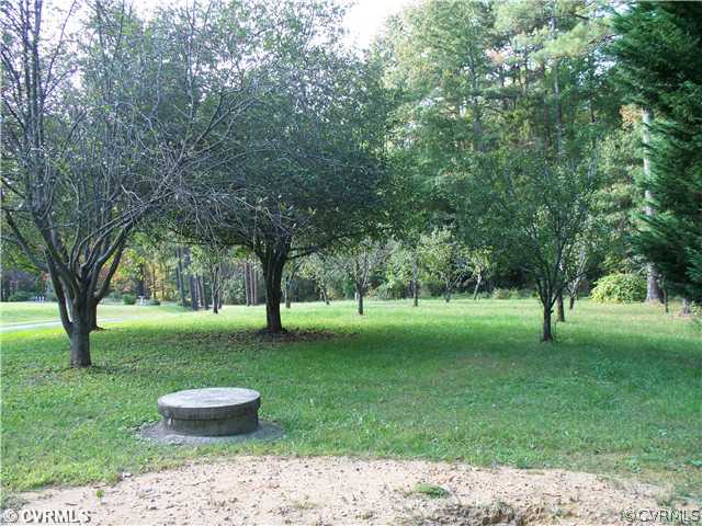 12221 Howards Mill Road Rockville, VA 23146 - Photo 8 of 8 Yard/Garden