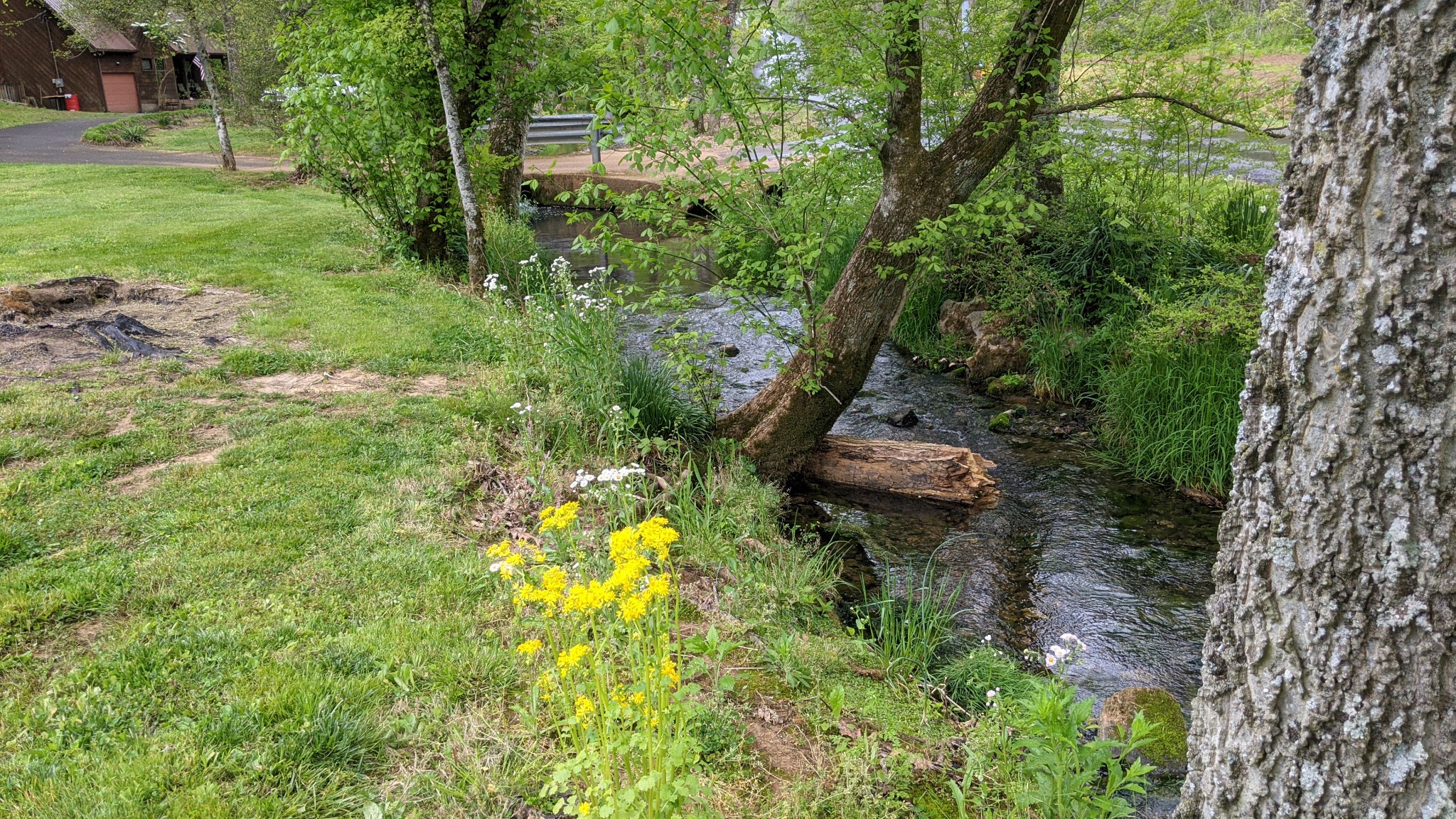 6321 Hopewell Road Springfield, TN 37172 - Photo 3 of 27 a backyard of a house with lots of green space