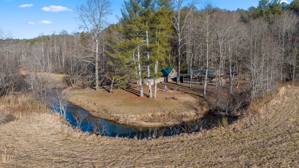 251 Sunny Brook Road Blue Ridge, GA 30513 - Photo 4 of 68