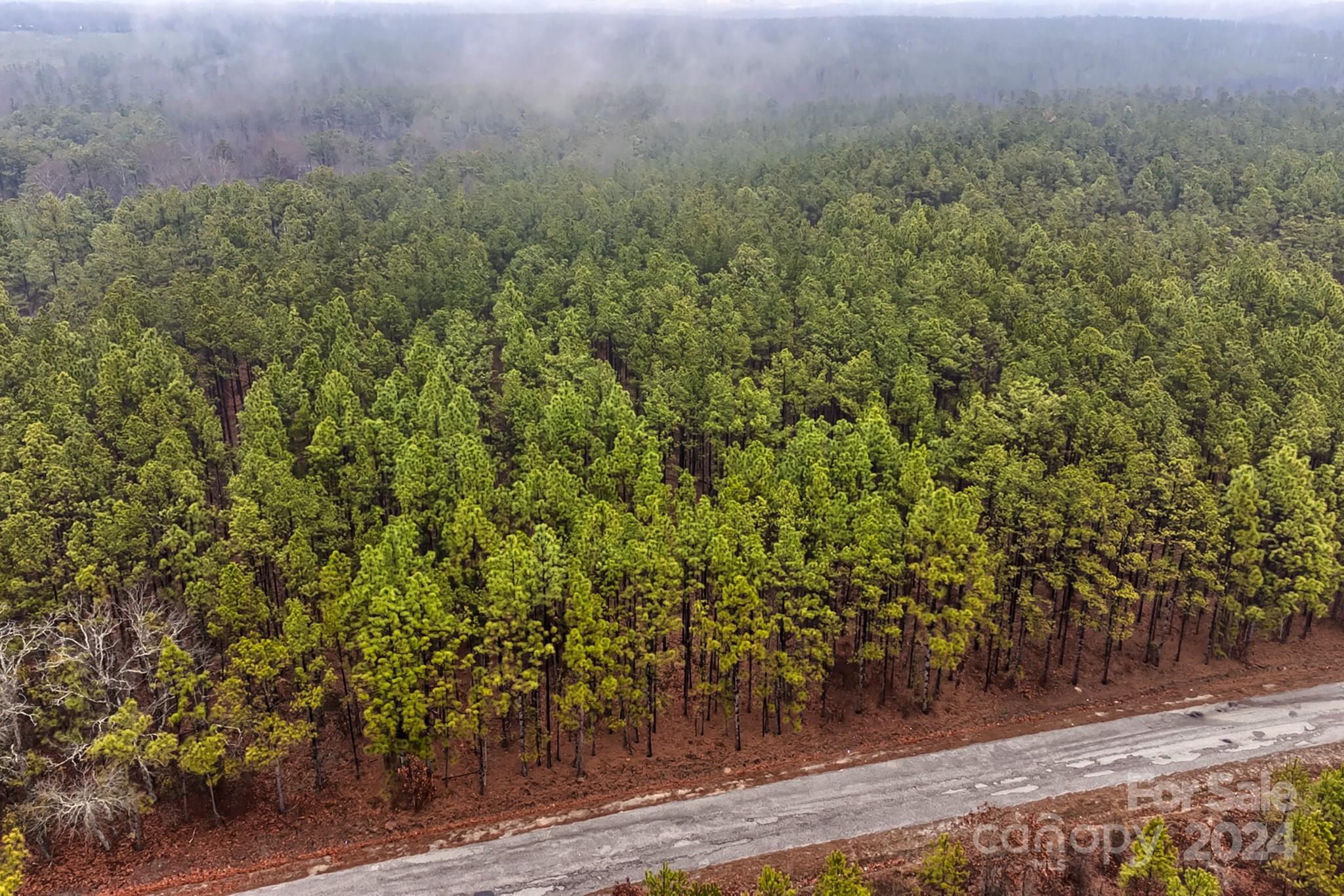 0 Woodhaven Road Kershaw, SC 29067 - Photo 4 of 7 Gallery Image 4