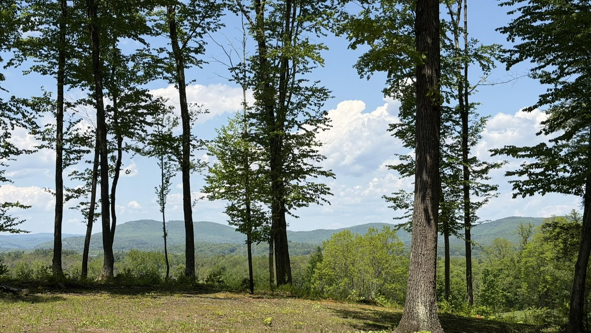 48 Pine Ridge Road Vernon, VT 05354 - Photo 6 of 54
