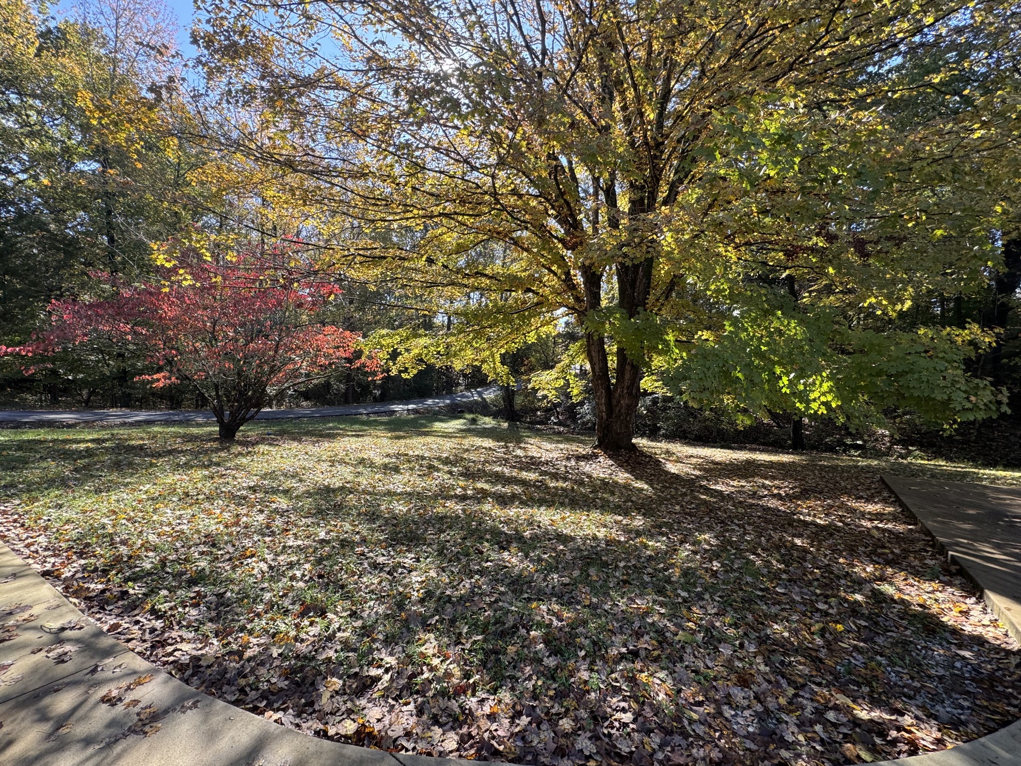 333 Main Street Dover, TN 37058 - Photo 2 of 19 a view of yard with green space