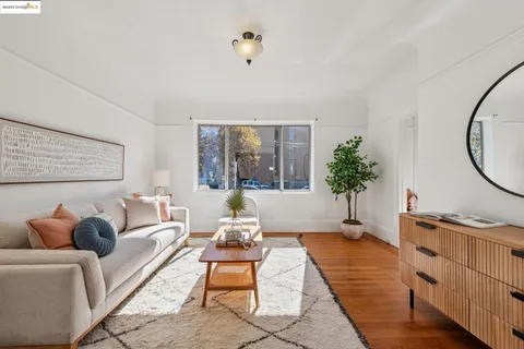 a living room with furniture a window and a potted plant