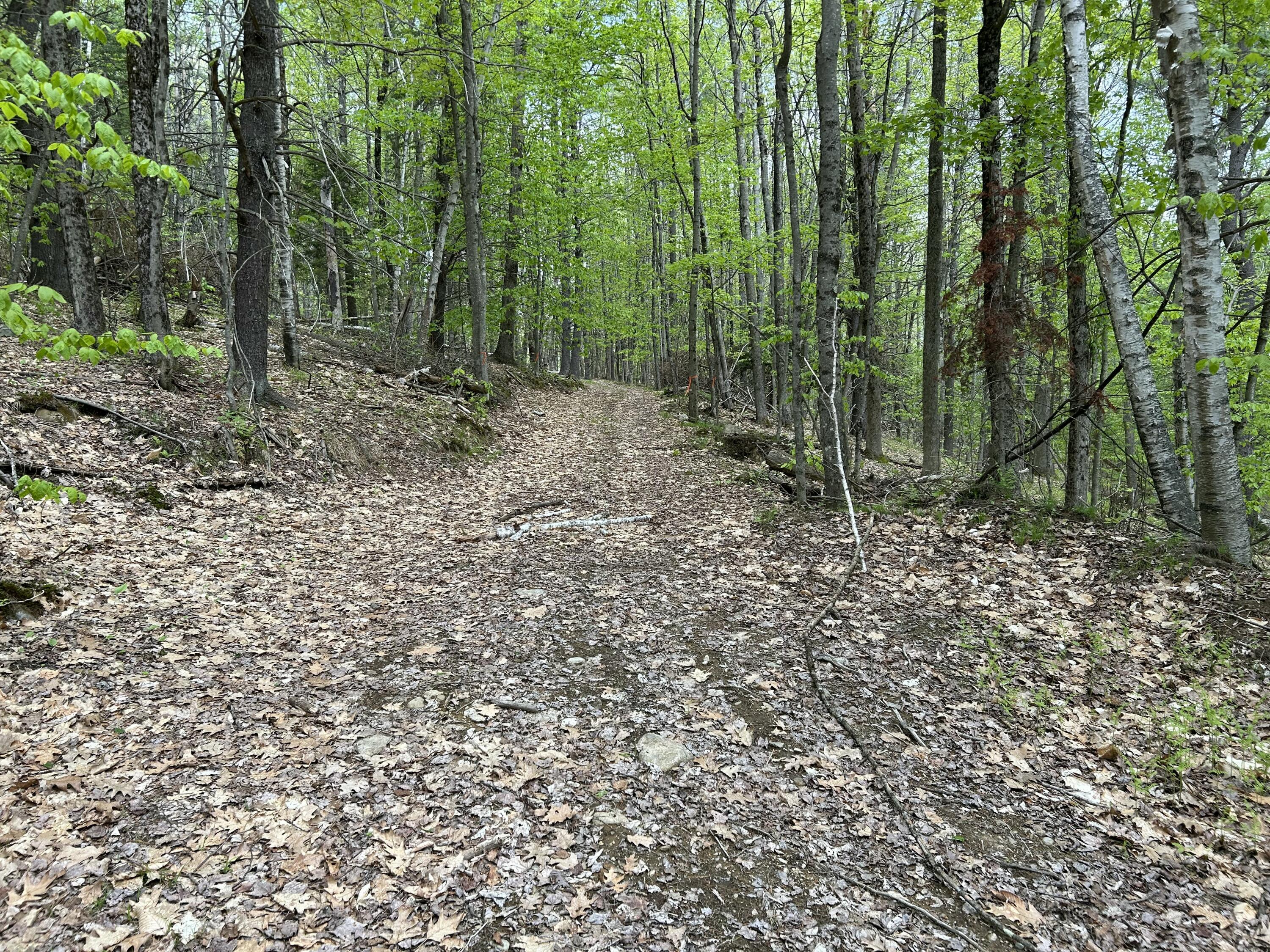 281 Randall Road Lewiston, ME 04240 - Photo 23 of 31