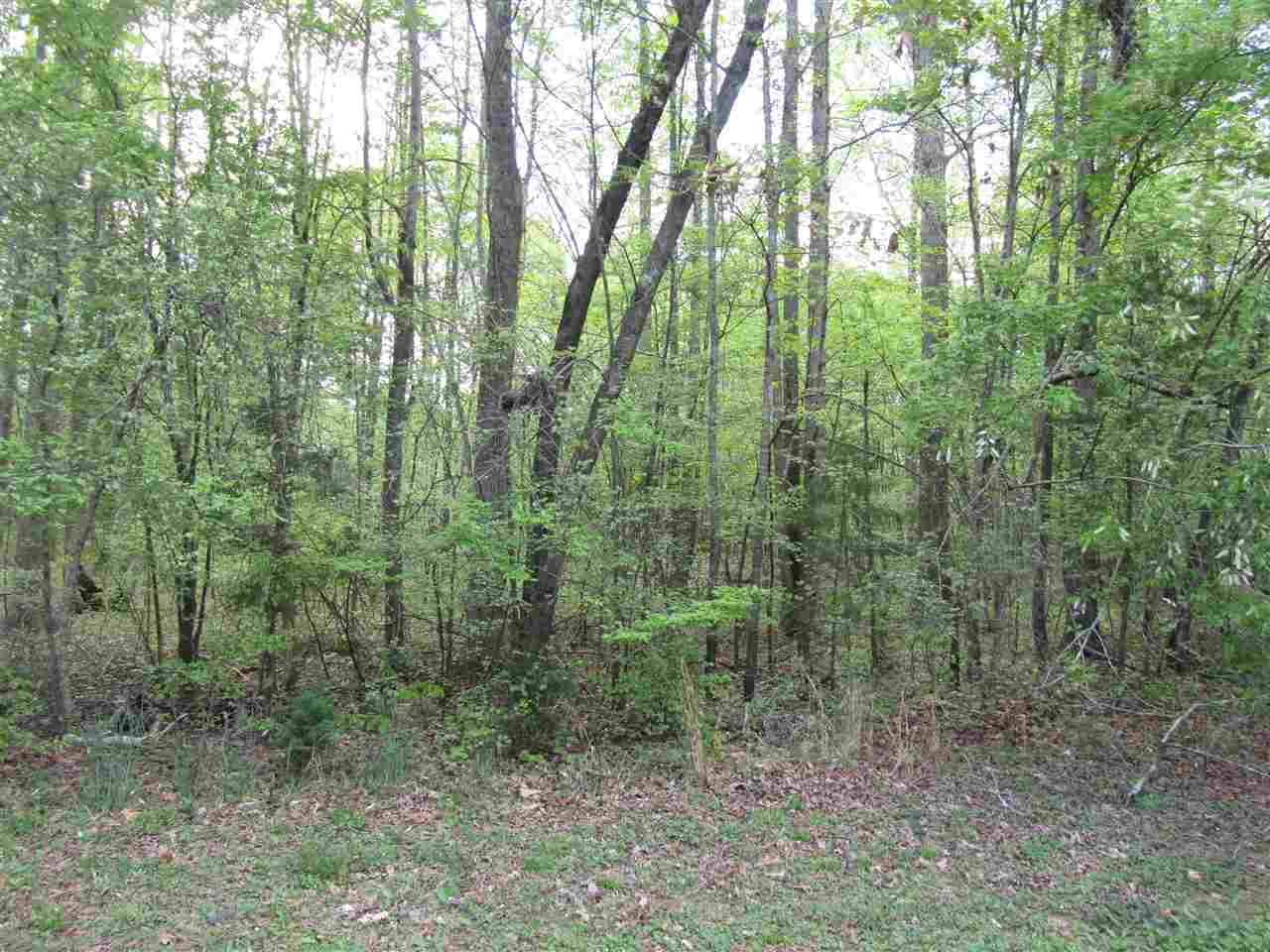 44 Running Deer Path Timberlake, NC 27583 - Photo 5 of 8 Photo 5