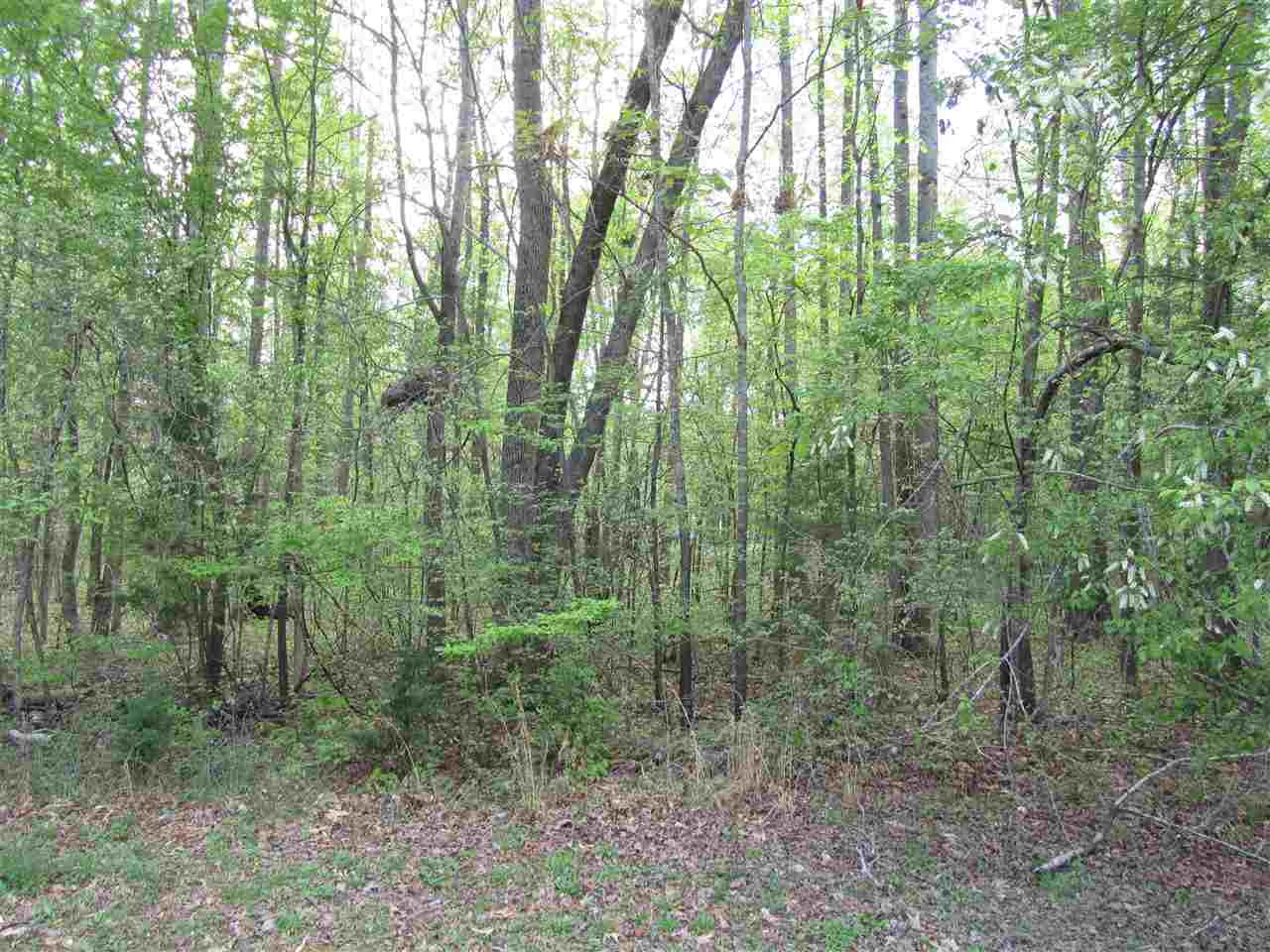 44 Running Deer Path Timberlake, NC 27583 - Photo 8 of 8 Photo 8