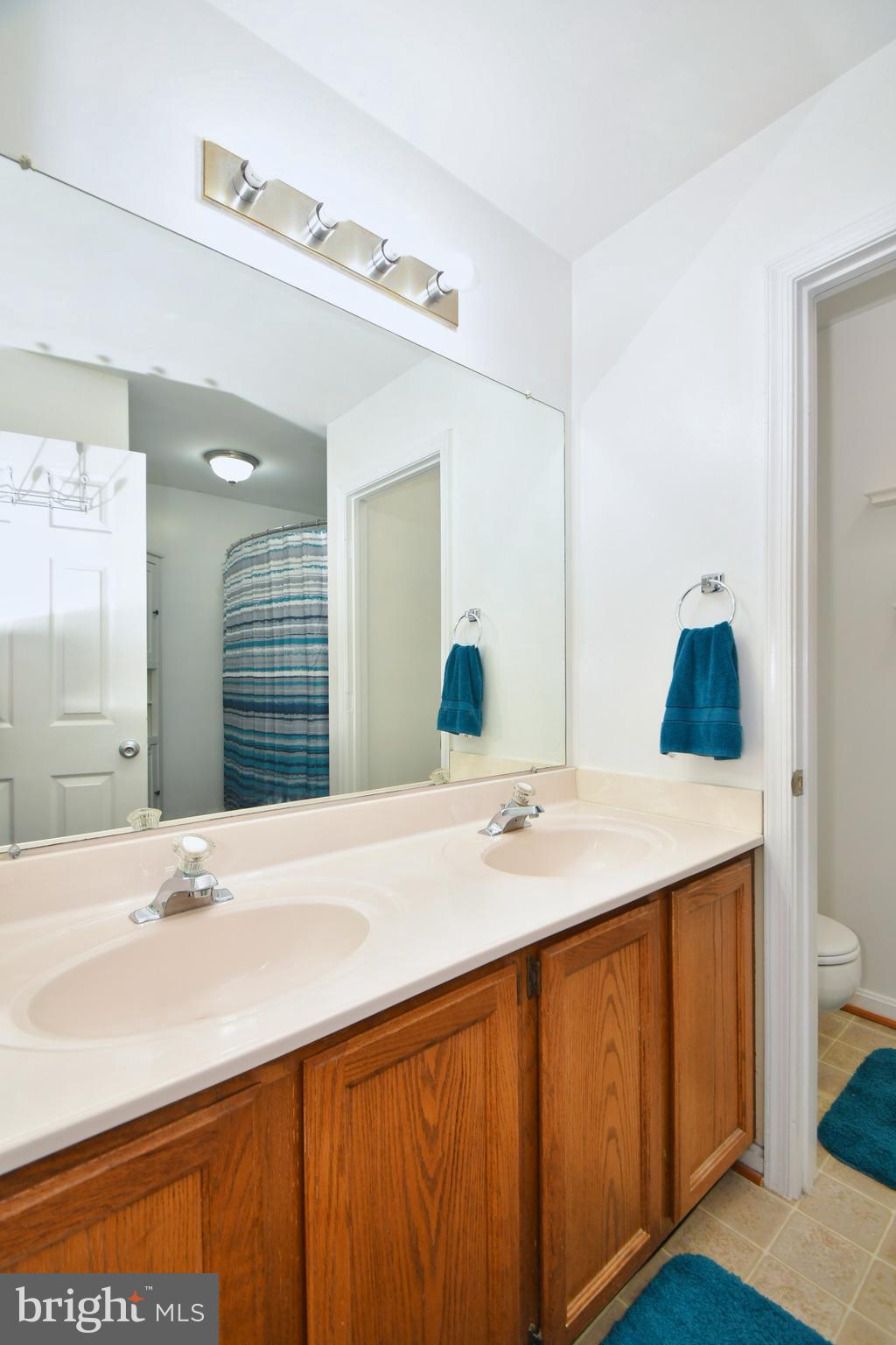 210 Gentlebrook Road Owings Mills, MD 21117 - Photo 23 of 40 Dual Vanities in the Master