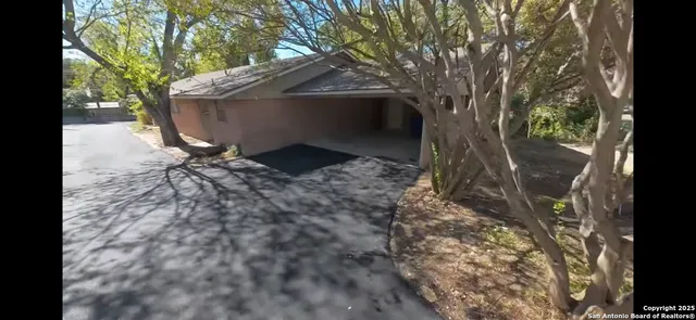 a view of a yard with a tree