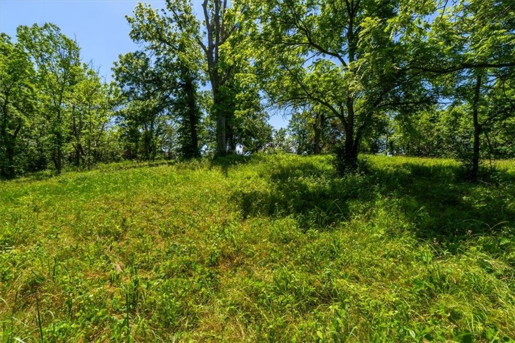 22112 East Eureka Road Independence, MO 64057 - Photo 7 of 18