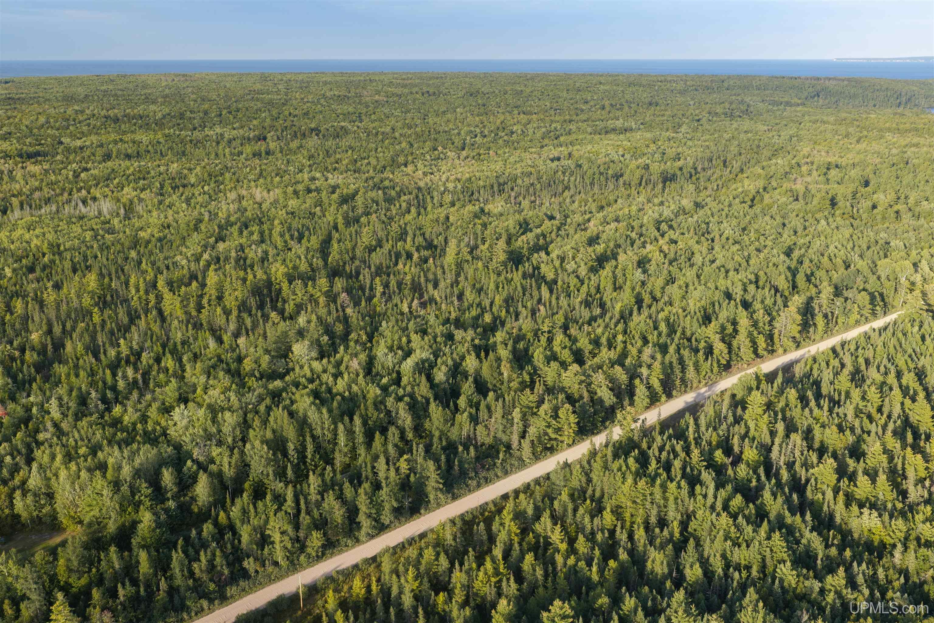 120 Acres Parcel B Off Deerton Road Deerton, MI 49822 - Photo 7 of 11 Gallery Image 7
