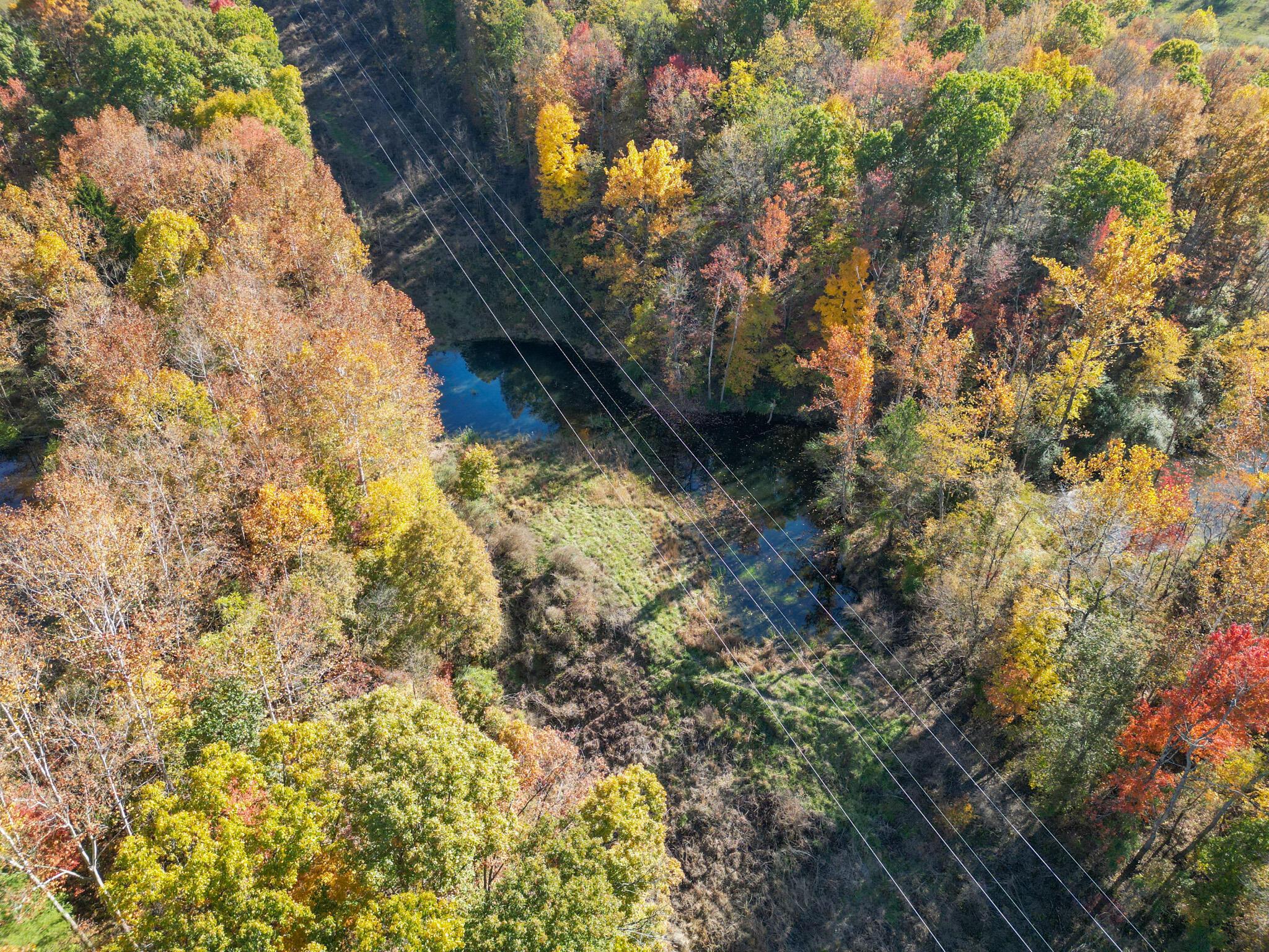 0 Dixon Run Road Thurman, OH 45685 - Photo 22 of 43 Dixon Run -19
