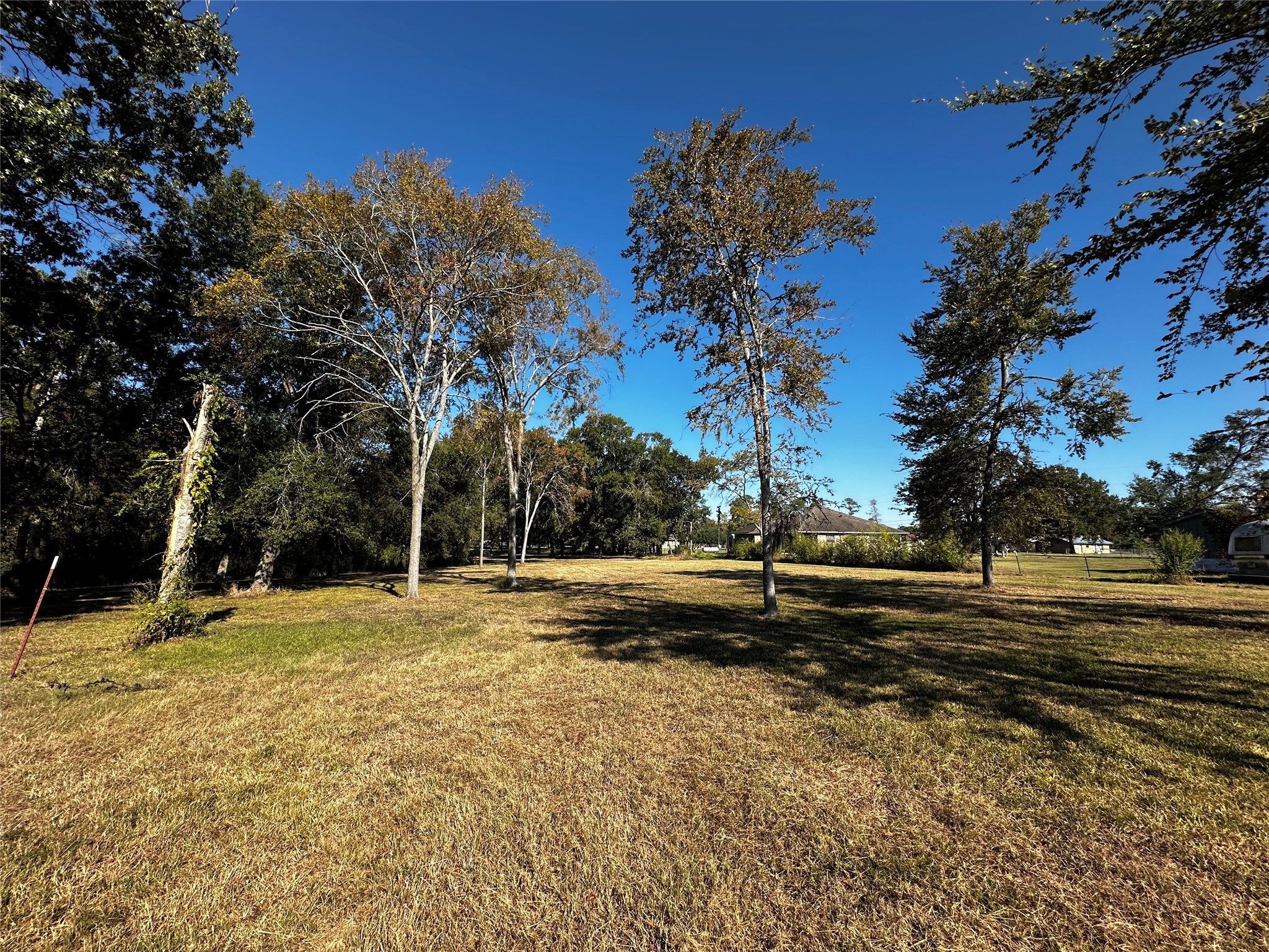 132 Legacy Boulevard Point Blank, TX 77364 - Photo 4 of 11 a view of a yard with swimming pool and trees