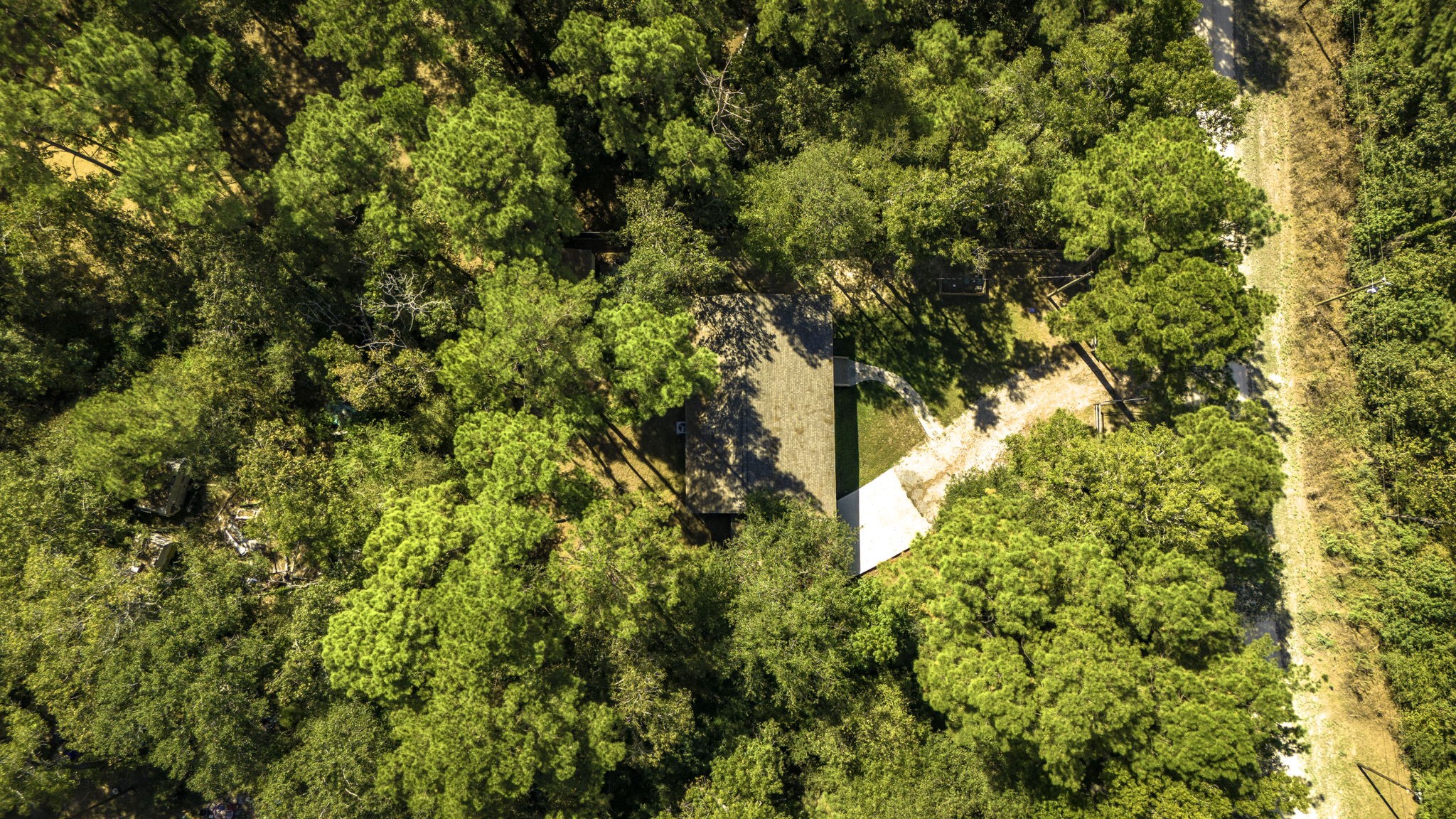 132 Legacy Boulevard Point Blank, TX 77364 - Photo 9 of 11 a view of a tree