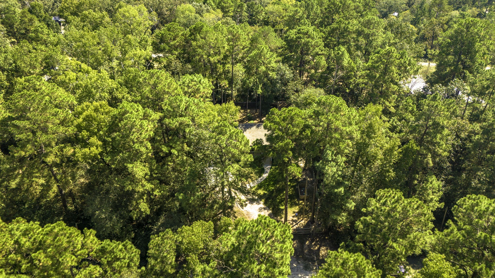 132 Legacy Boulevard Point Blank, TX 77364 - Photo 10 of 11 a view of a tree