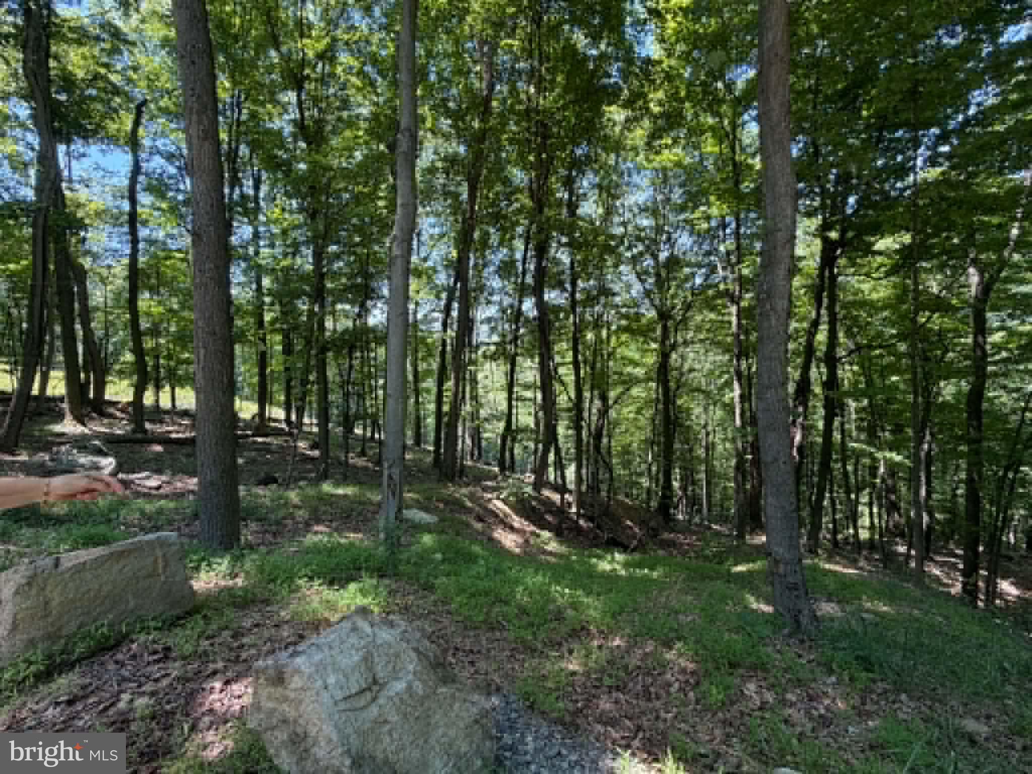 1515 Barnum Road Keyser, WV 26726 - Photo 33 of 64