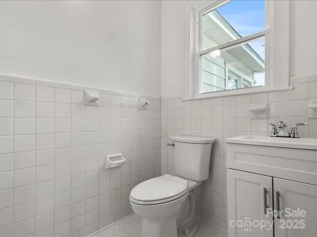 a bathroom with a toilet sink vanity and a shower