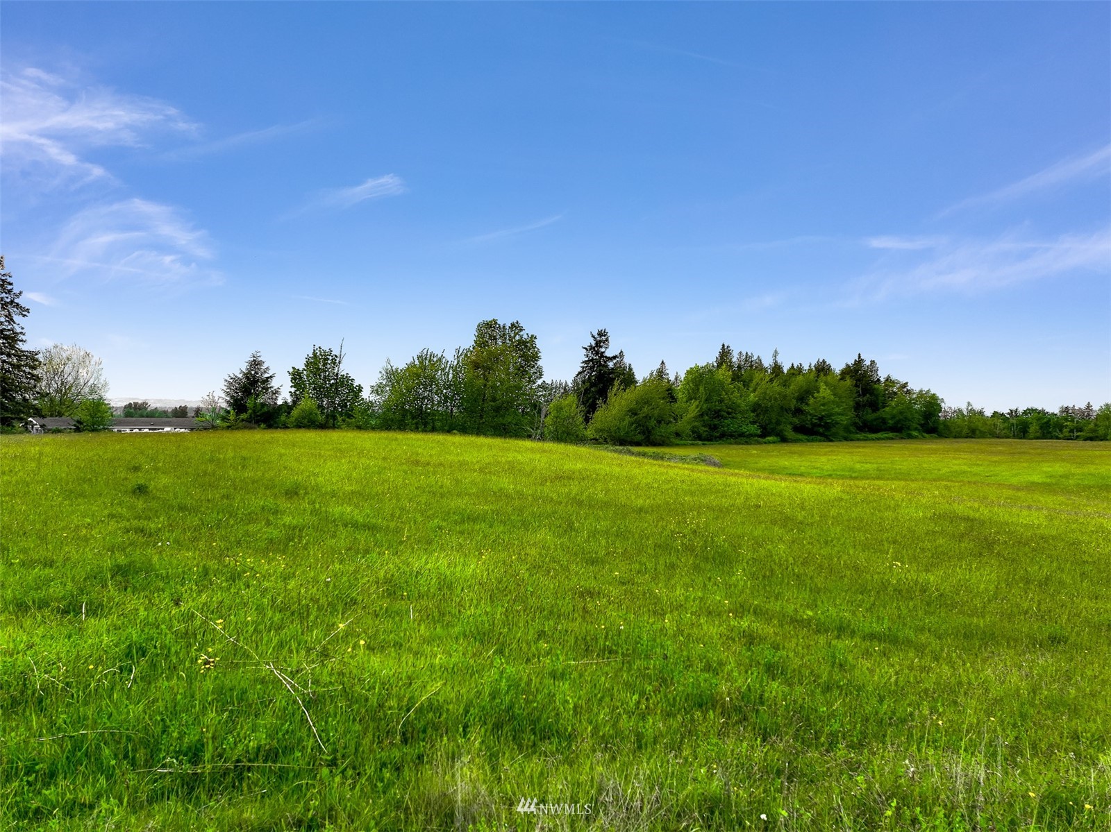 422 East Smith Road Bellingham, WA 98226 - Photo 1 of 7 a view of a grassy field