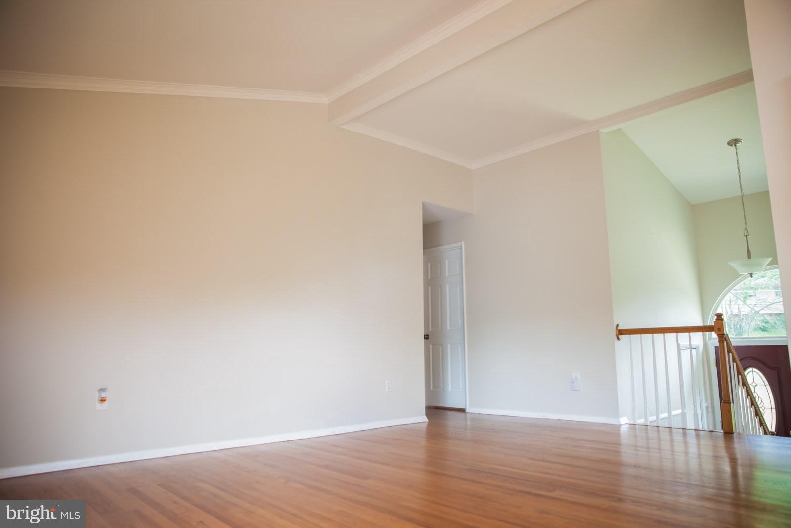 6337 Alberta Street Springfield, VA 22152 - Photo 3 of 25 Living Room