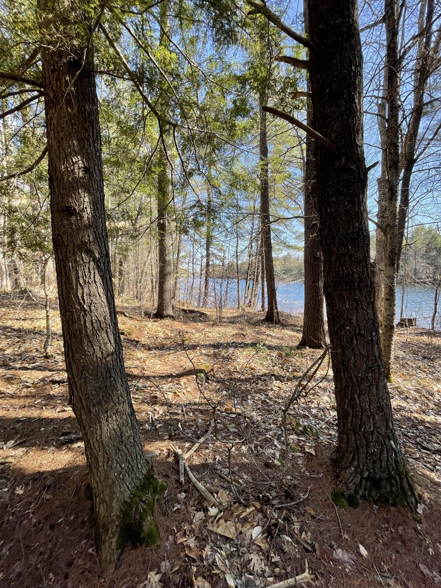 5 A Lake House Road Naples, ME 04055 - Photo 12 of 26 IMG_6477