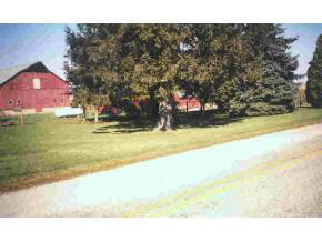5470 12B Road Bourbon, IN 46504 - Photo 3 of 3