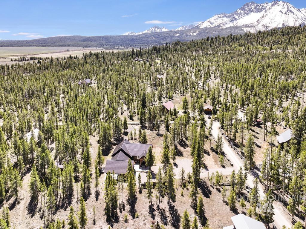 65 Goat Creek Way Stanley, ID 83278 - Photo 29 of 32 Expansive wooded acreage featuring a primary residence with a dark roof and a separate structure with a light-colored roof