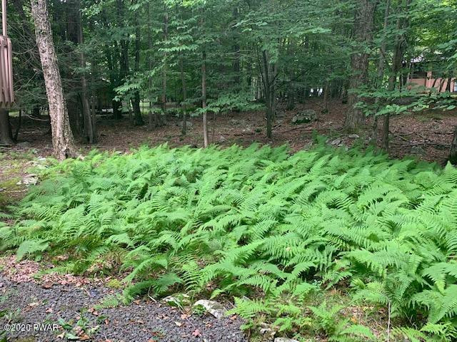 172 Rockway Road Lake Ariel, PA 18436 - Photo 2 of 31 Ferned Backyard Forest