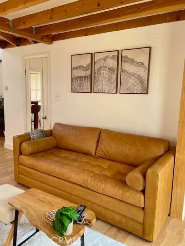 a view of a tree with a plant