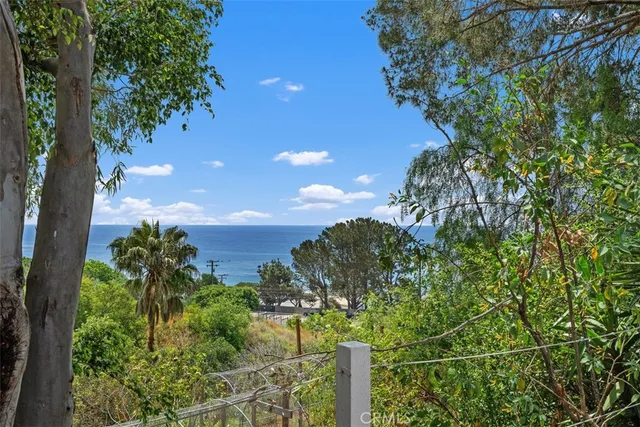 a view of a backyard with large trees and wooden fence