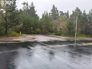 a view of a field with trees in background